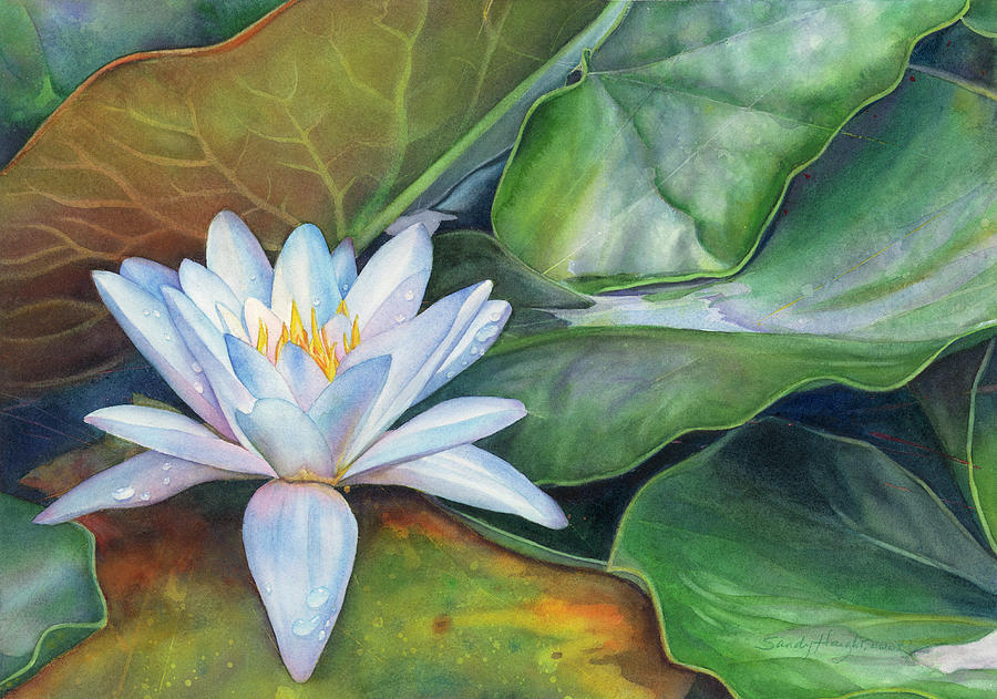 Flowers Still Life Painting - Arboretum Star by Sandy Haight