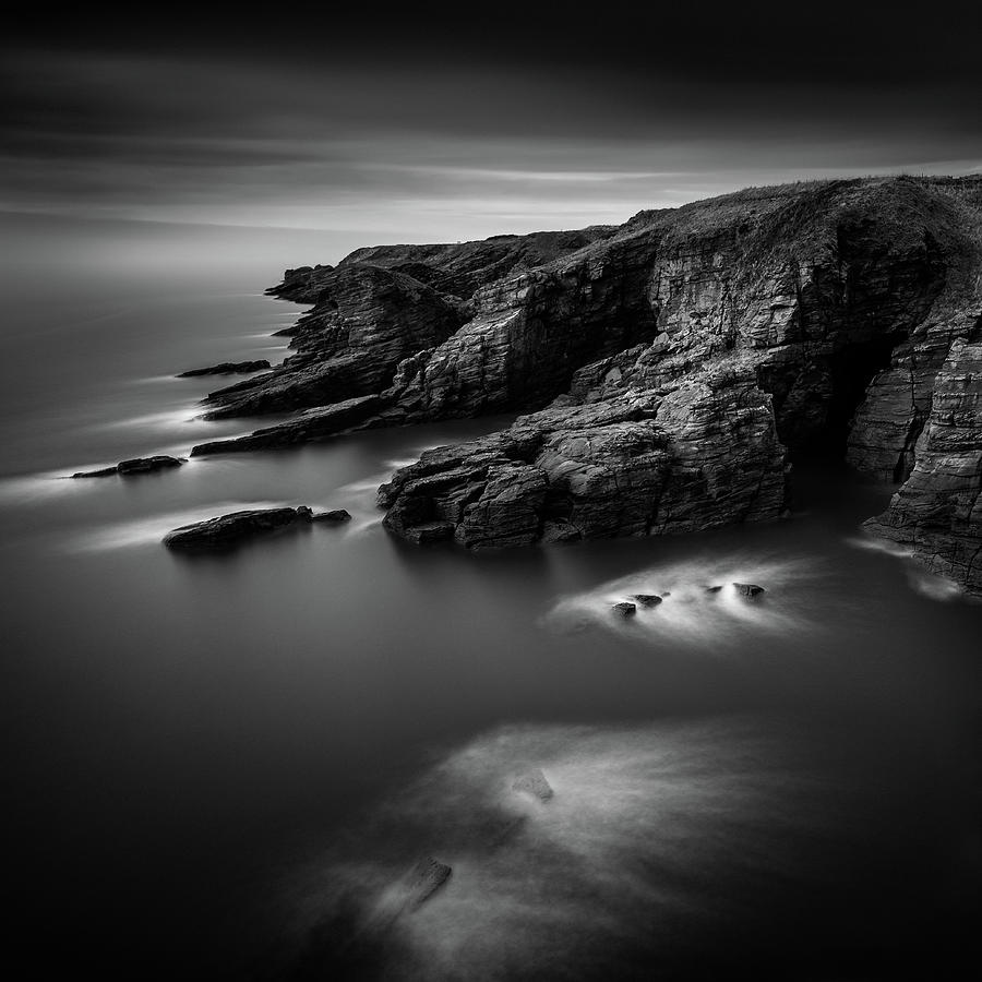 Nature Photograph - Arbroath Cliffs by Dave Bowman
