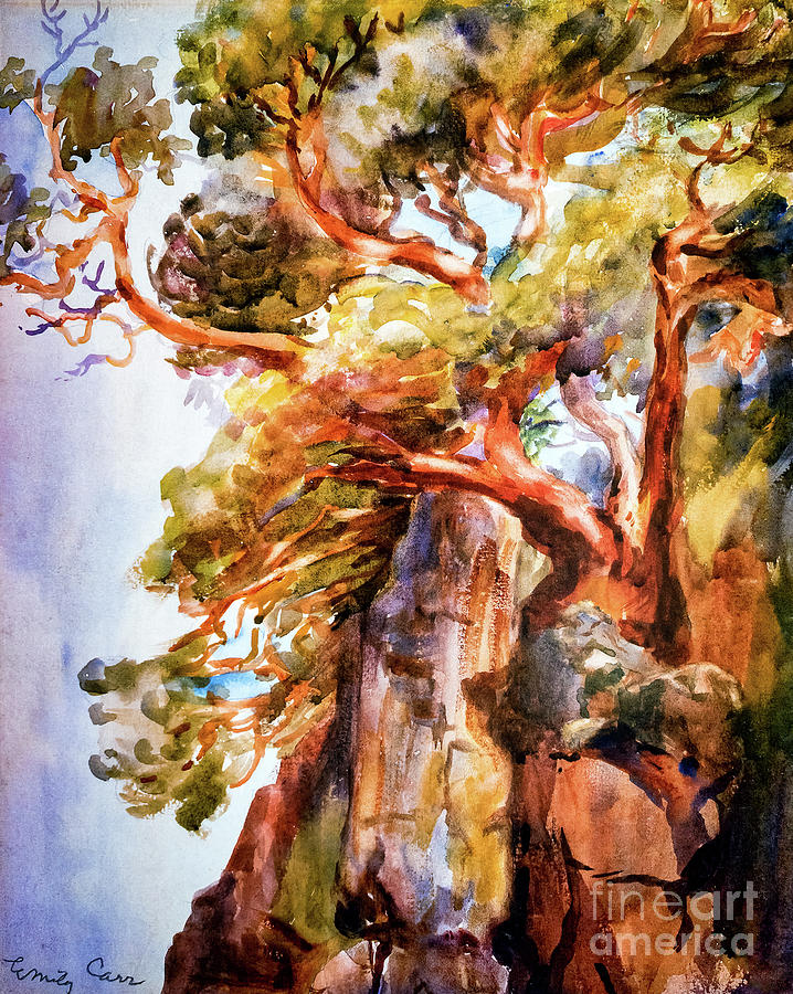 Arbutus Tree by Emily Carr 1908 Painting by Emily Carr