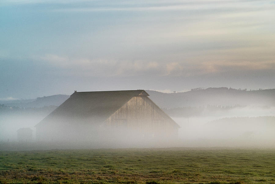 Arcata Barn in Mists Photograph by Greg Nyquist