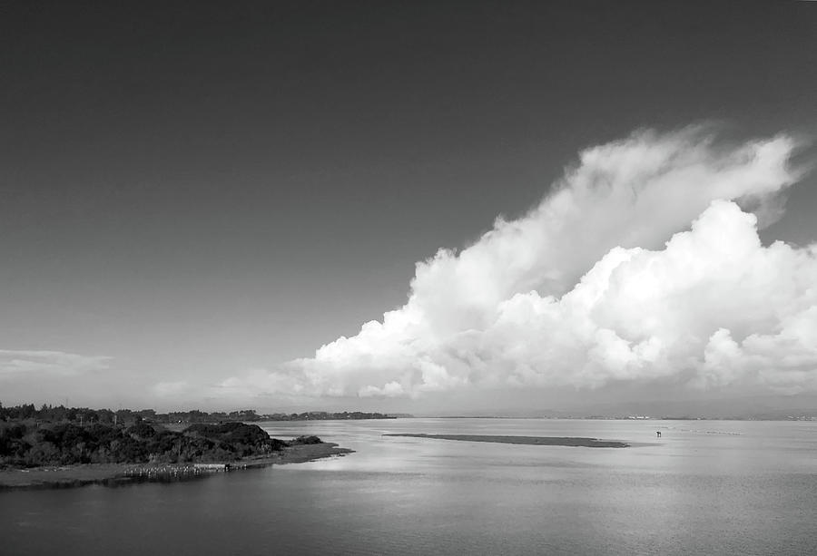 Arcata Bay Black and White Photograph by Sierra Vance - Pixels