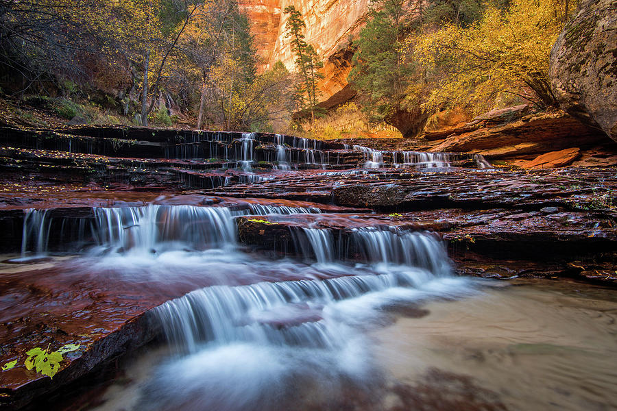 Arch Angel Falls Zion  Photograph by Wesley Aston