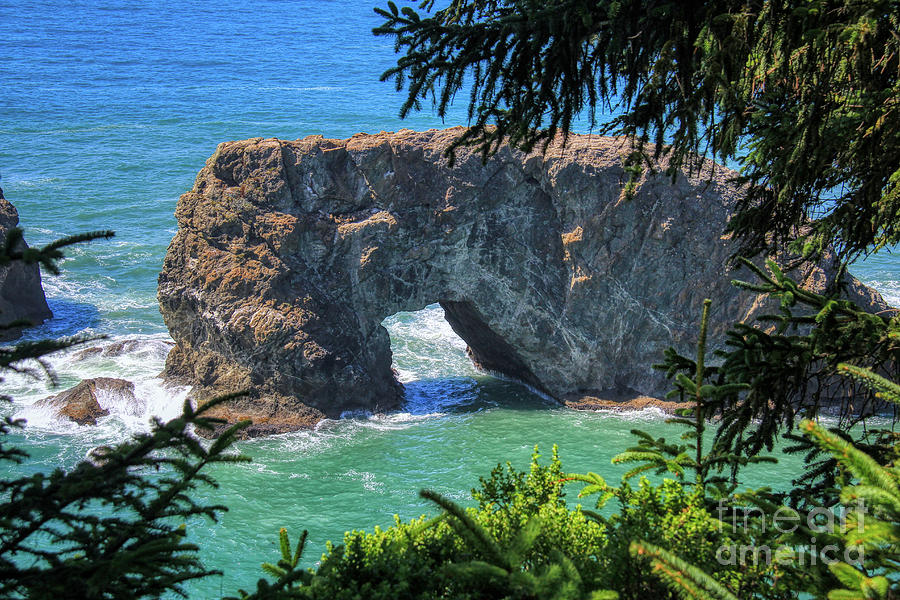 Arch Rock Oregon Photograph by Michele Hancock Photography