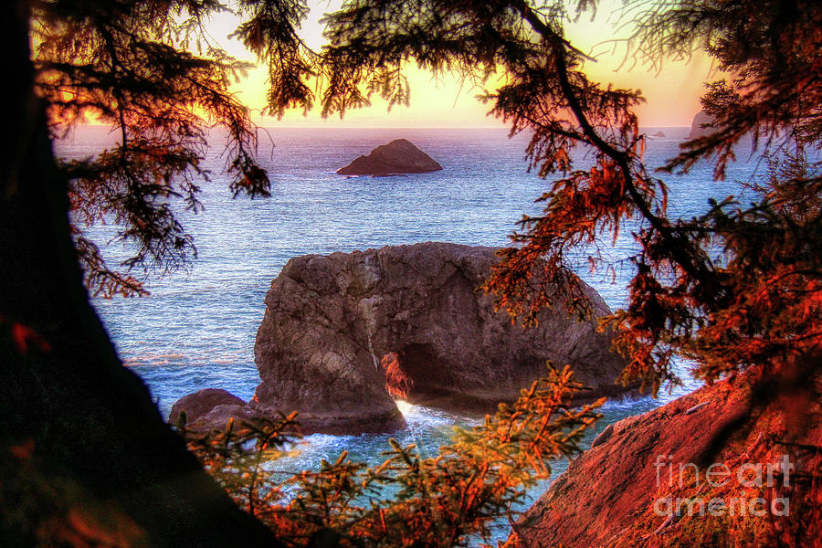 Arch Rock Photograph - Arch Rock Oregon  At Golden Hour by Michele Hancock Photography