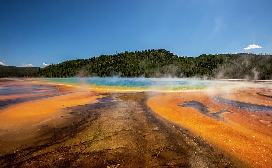 Archaea Photograph by Michel and Raquel Davis