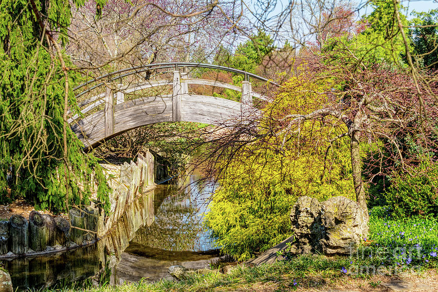 Arched Botanical Bridge Photograph by Jennifer White