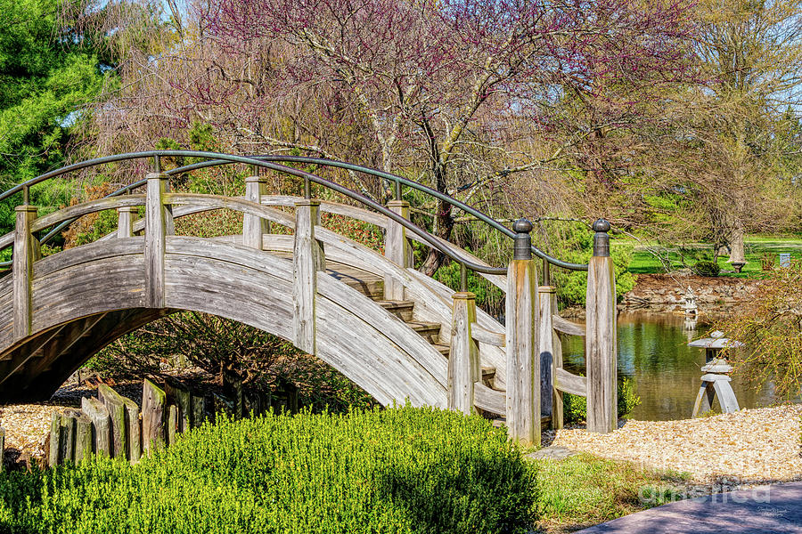Arched Bridge In The Park Photograph by Jennifer White