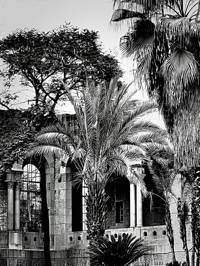 Black And White Photograph - Arches and Palm Trees in Jerusalem by Pamela Storch