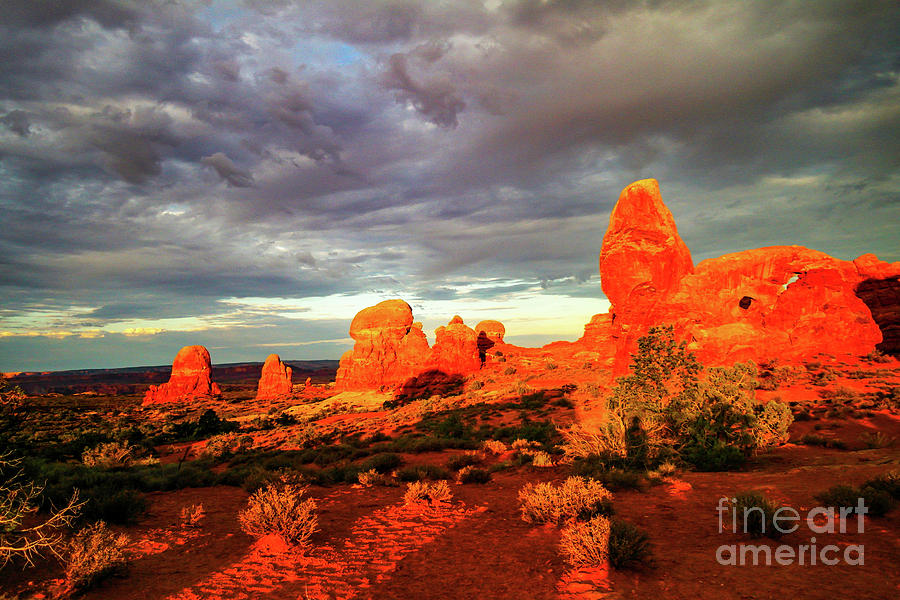 Arches At Sunrise Photograph