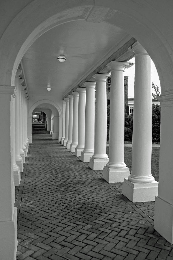 Arches at UVA Photograph by Jerry Gammon