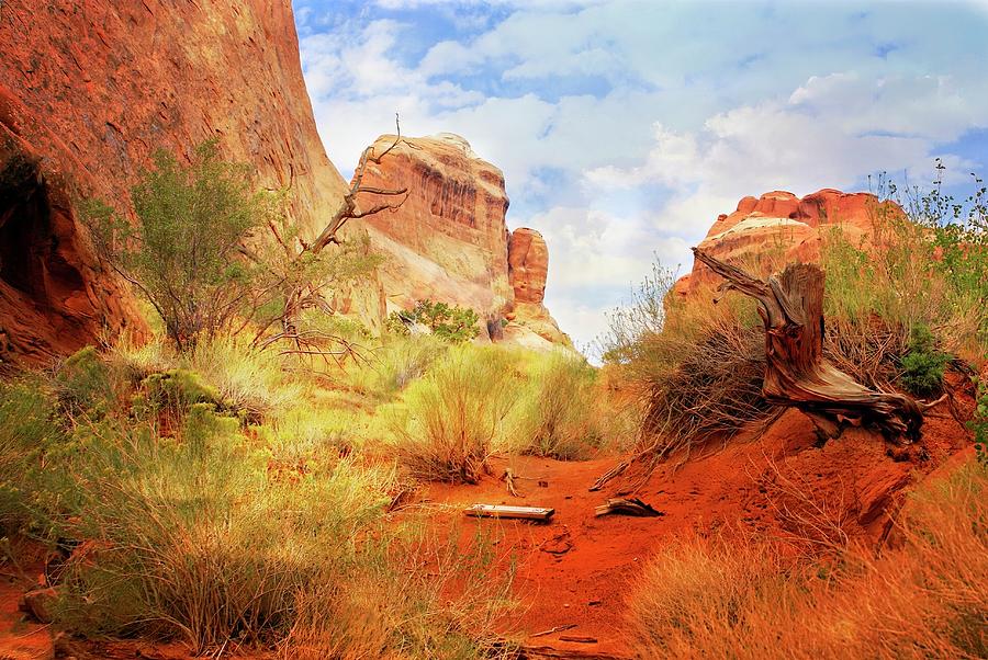 Arches National Park Photograph - Arches Landscape 100a by Marty Koch