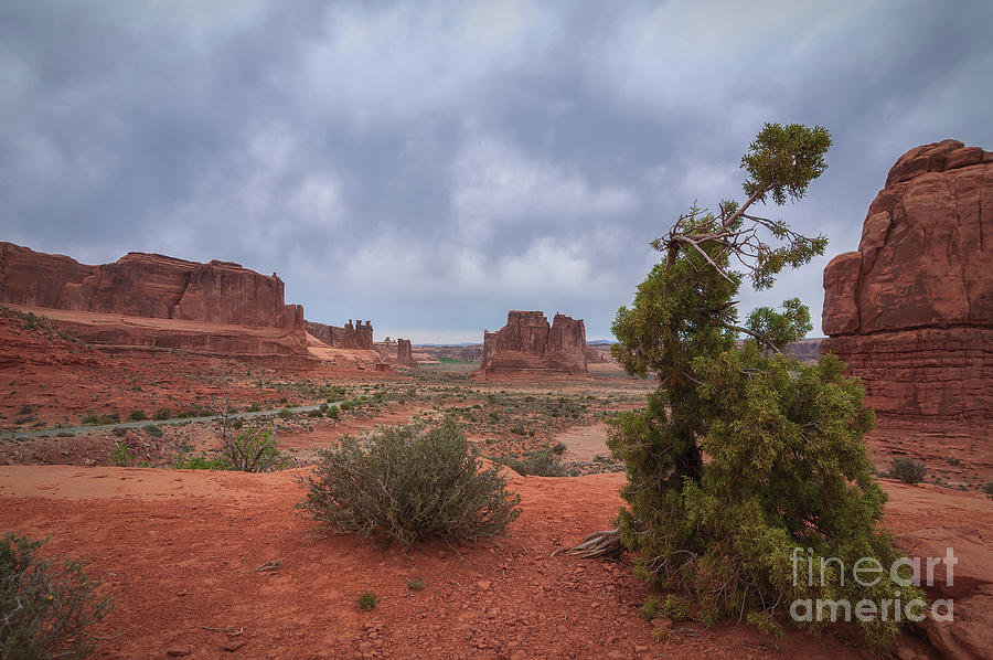 Arches Landscape by Sharon Seaward Arches Landscape by Sharon Seaward