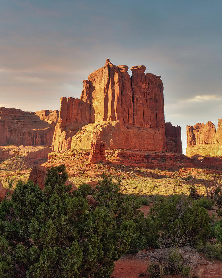 Brush Photograph - Arches National Park 4 by Thomas Hall