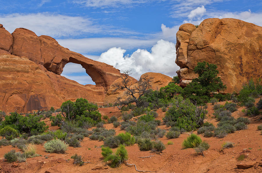 Arches National Park - 8024 Photograph by Jerry Owens