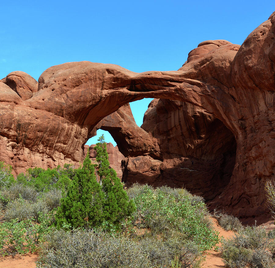 Arches National Park Art Print Photograph by Barbara Sophia Photography
