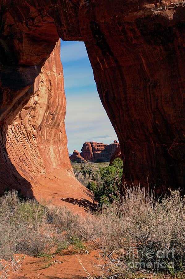 Arches National Park Pine Tree Arch Photograph by Bob Phillips