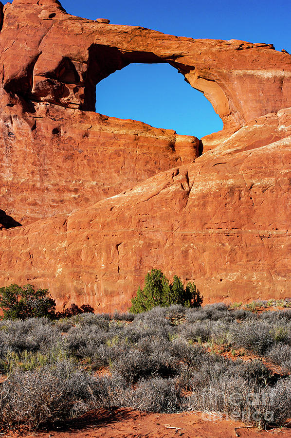Arches National Park Skyline Arch Photograph by Bob Phillips