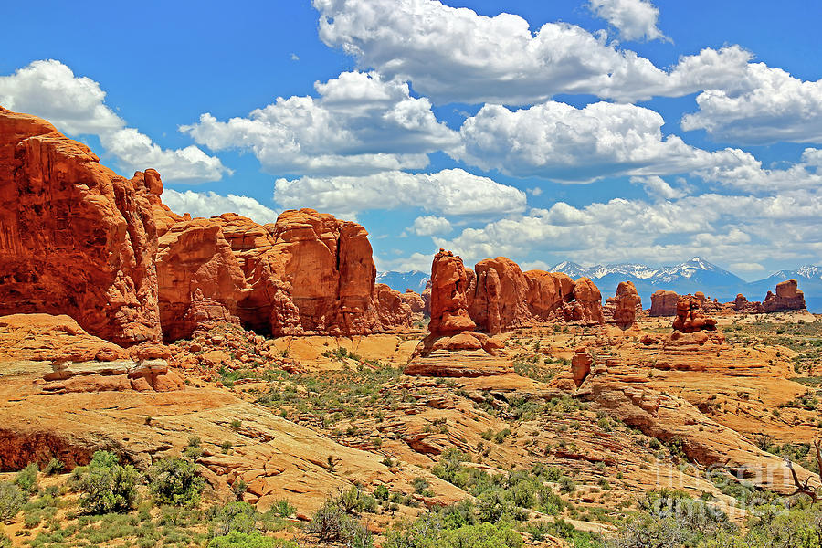 Arches National Park Photograph by Tom Watkins PVminer pixs