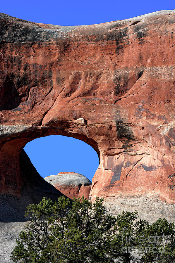 Arches National Park Tunnel Arch Photograph by Bob Phillips