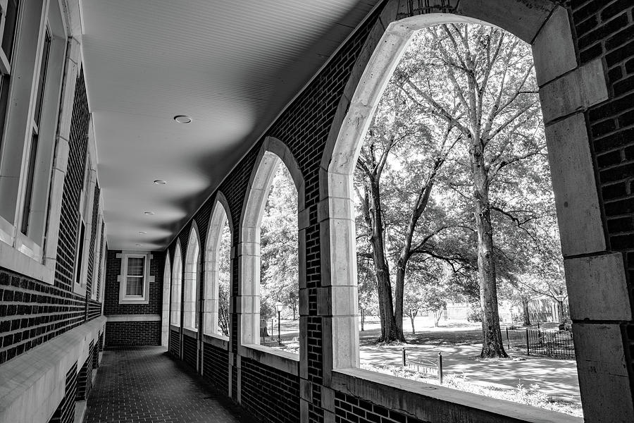 Arches of Time - Martin Halls Graceful Embrace In Black And White Photograph by Gregory Ballos