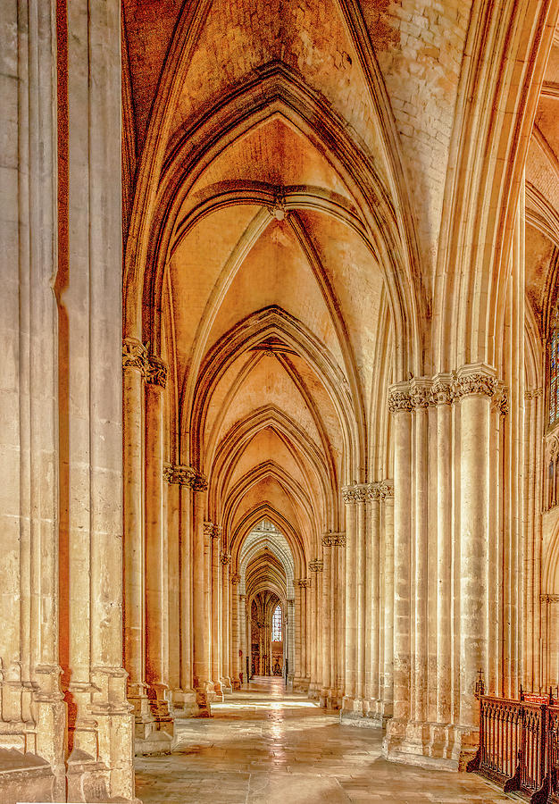 Arches of Troyes Cathedral Photograph by Marcy Wielfaert