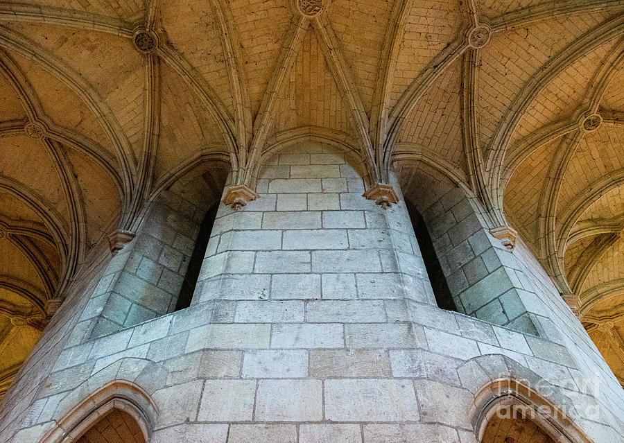 Architectural Details Chateau Royal D Amboise French Chateau Region The Loire Valley Photograph