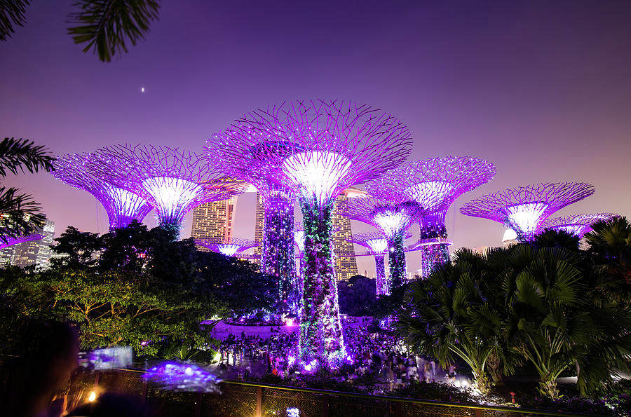 Gardens by the Bay, Singapore Photograph by Stefan Vis - Fine Art America