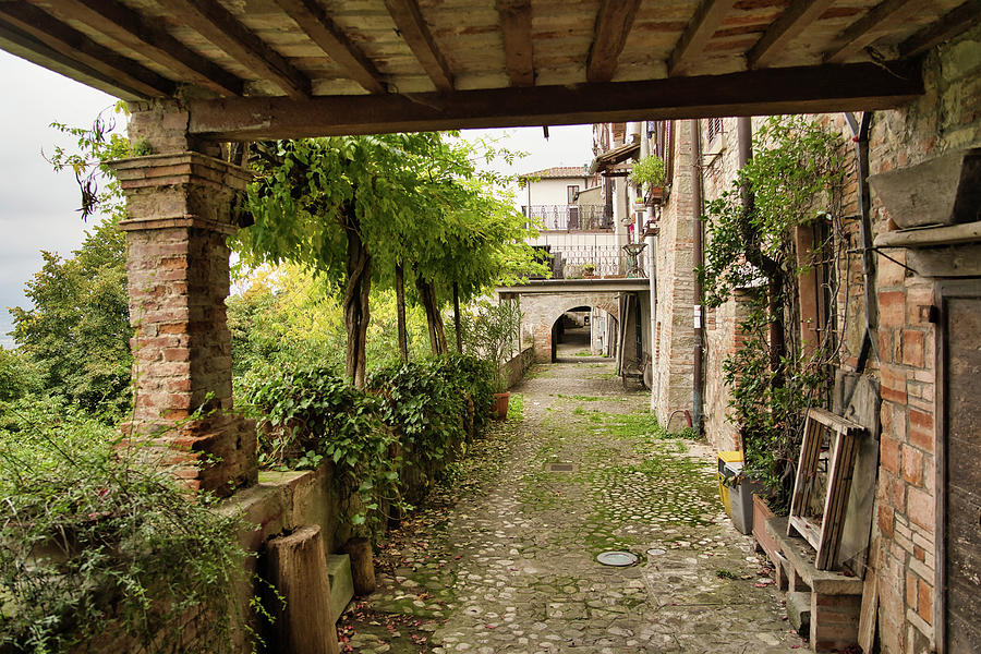 Architecture and Gardens in Citerna - Umbria - Italy 1 Photograph by Jenny Rainbow