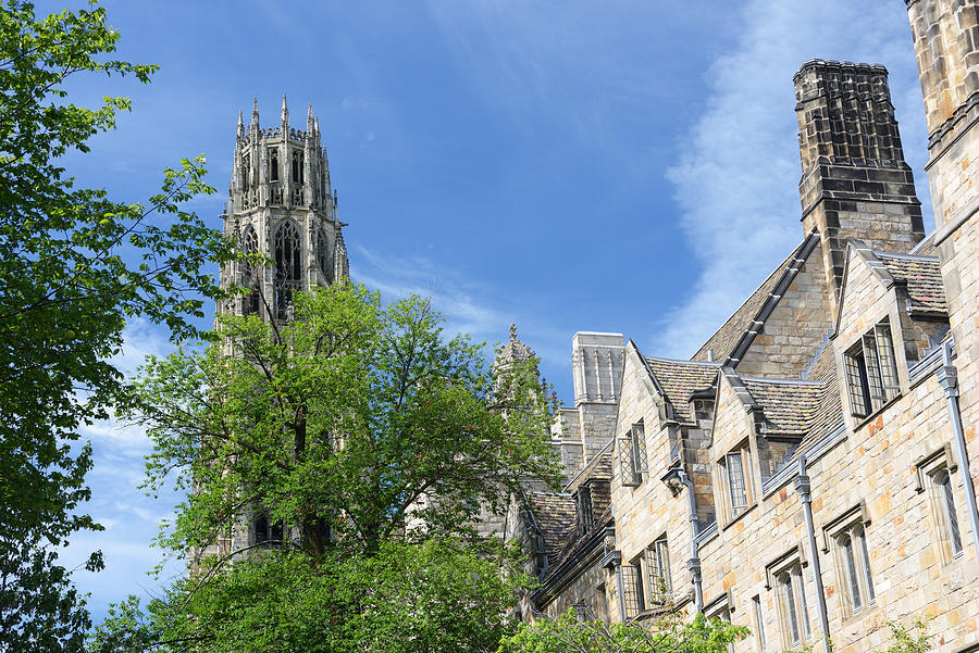 Architecture in Yale University Photograph by Aimintang