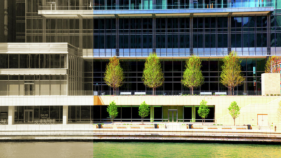 Architecture Trees Water Chicago River Photograph by Patrick Malon
