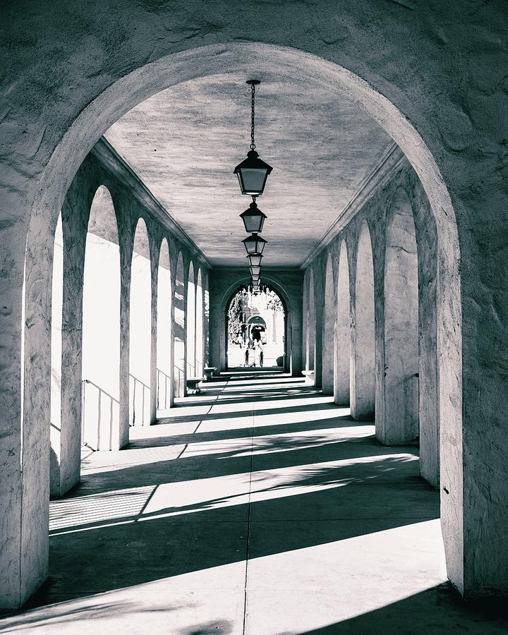 Archetype a Photograph by Ryan Weddle Archetype a Photograph by Ryan Weddle