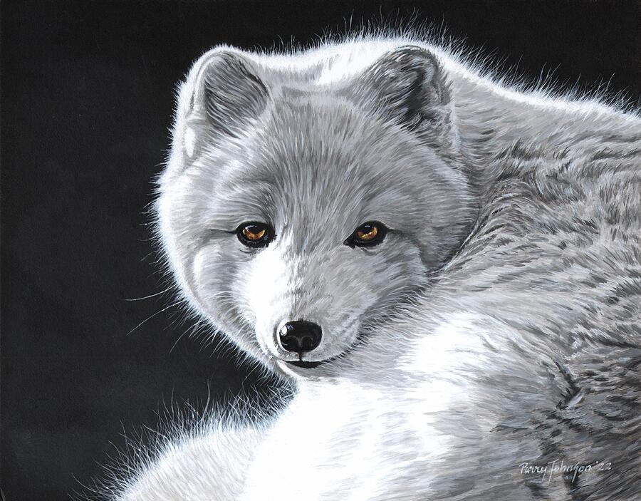 Arctic Fox Painting by Parry Johnson - Fine Art America