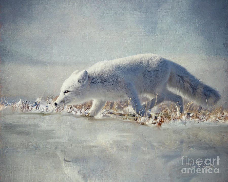Arctic Fox Digital Art by Tim Wemple