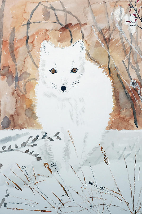 Animal Painting - Arctic Fox by Wynn Derr