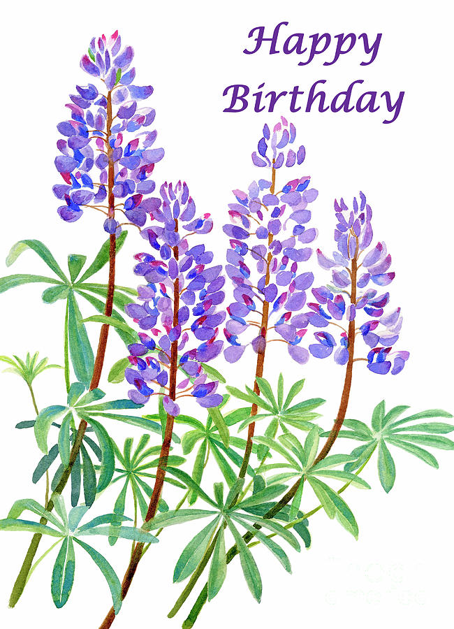 Arctic Lupine Birthday Card 2 Painting by Sharon Freeman - Fine Art America