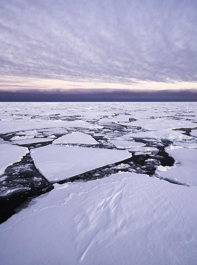 Arctic Pack Ice Sunset Photograph by Justinreznick