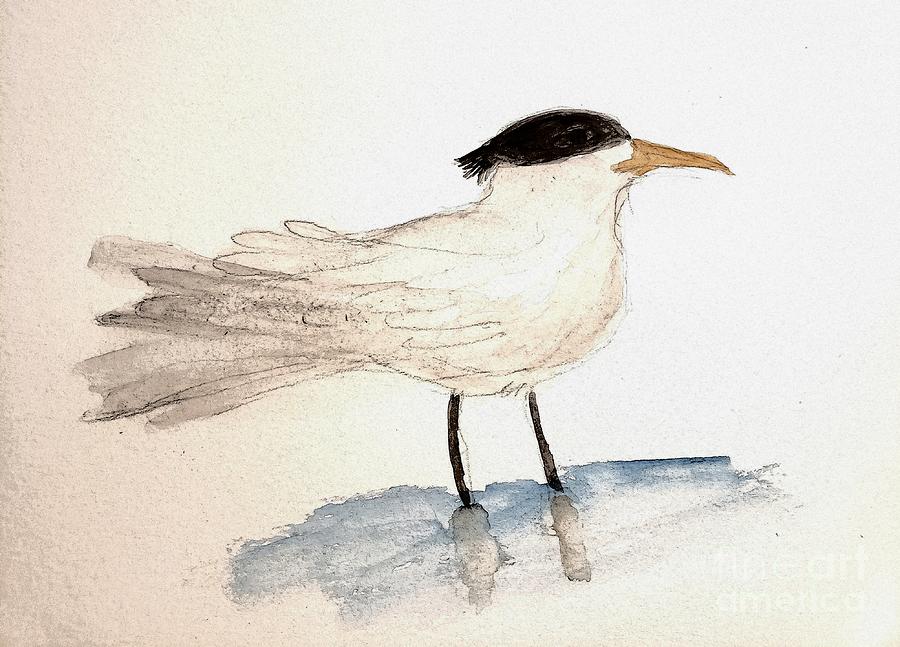 Arctic Tern  Painting by Margaret Welsh Willowsilk