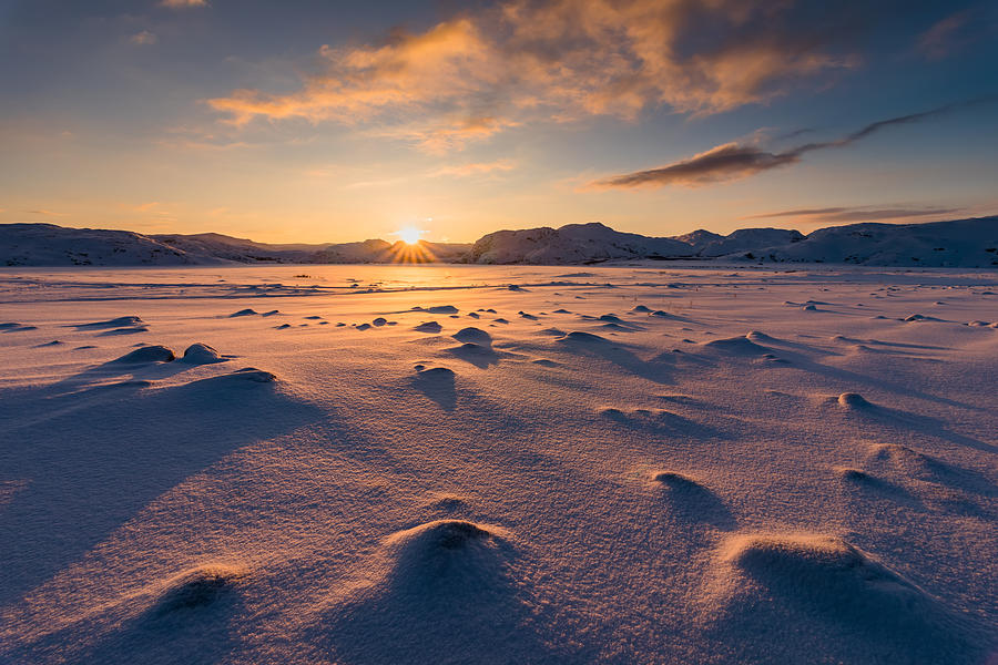 Arctic tundra at sunset Photograph by Anton Petrus