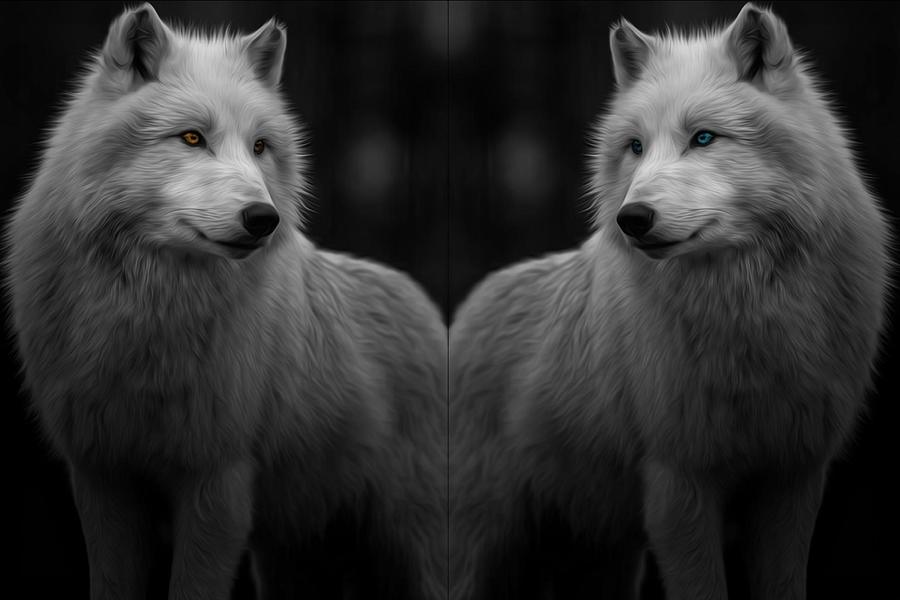 Arctic Twins Fire And Ice Black And White Digital Art by Pascaloup Art ...