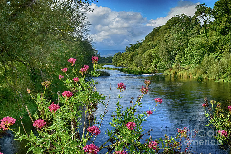 Ardfinnan - River Suir Photograph by Joe Cashin