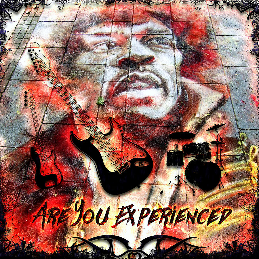 Are You Experienced  Digital Art by Michael Damiani