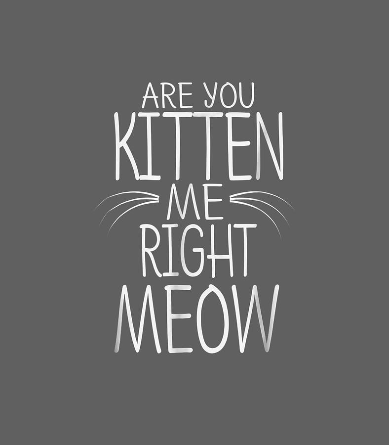 Are You Kitten Me Right Meow Funny Cat Digital Art by Aemil Rose - Fine ...