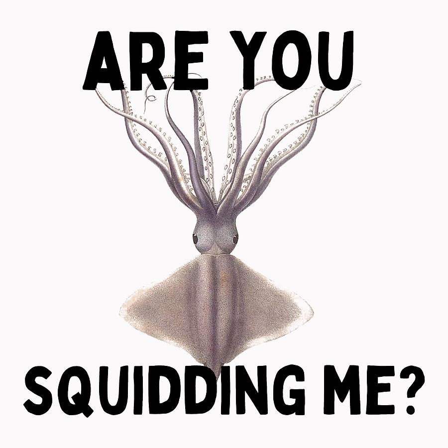 Are You Squidding Me Funny Squid Pun Joke Digital Art by Aaron Geraud -  Pixels