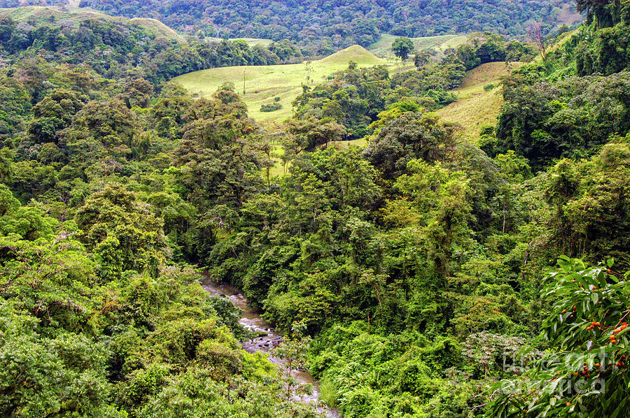 Arenal Volcanic Region Landscape and Stream One Photograph by Bob ...