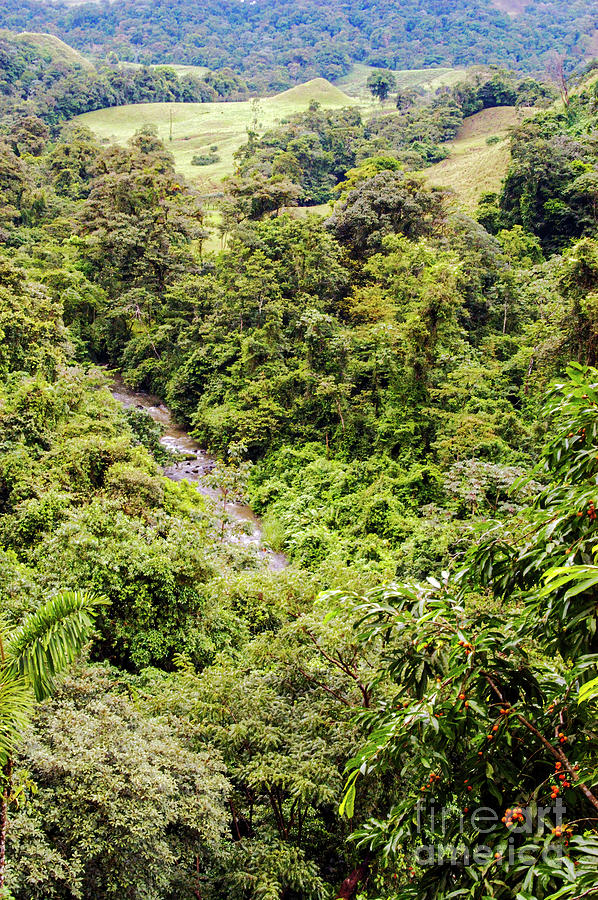 Arenal Volcanic Region Landscape and Stream Tow Photograph by Bob ...