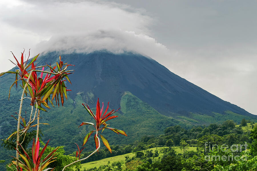 Arenal Volcano and Tropical Color Photograph by Bob Phillips