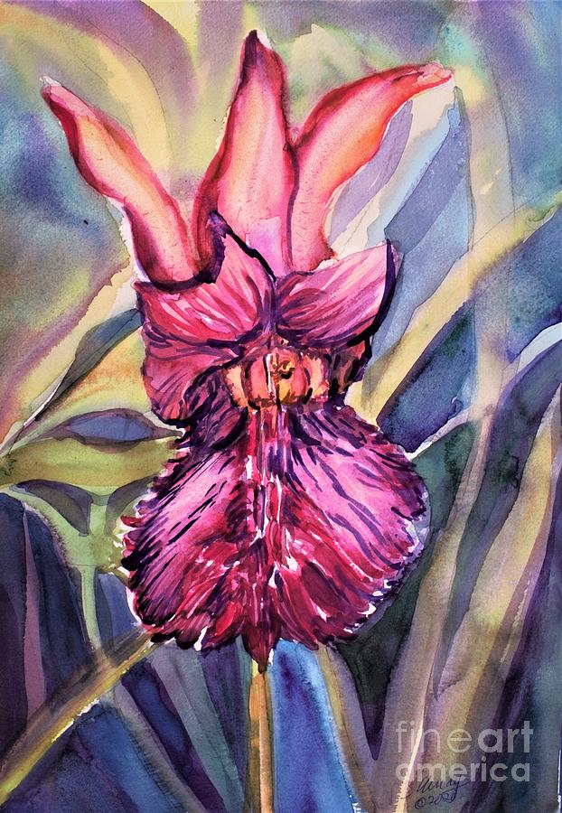 Arethusa Orchid Dragon Mouth Painting by Mindy Newman