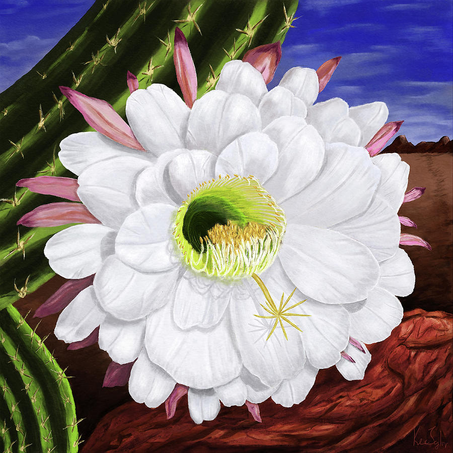 Argentine Giant Cactus Digital Art by Ken Taylor