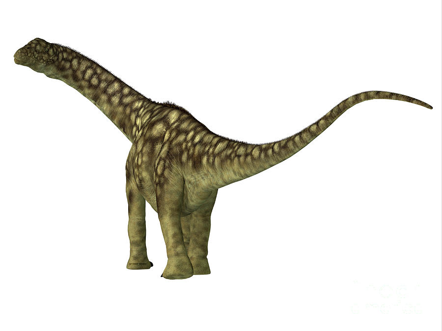 Argentinosaurus Dinosaur Juvenile Tail Digital Art