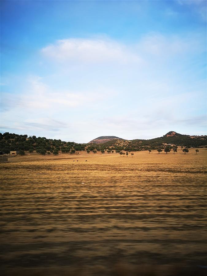 Arid land Photograph by Jarek Filipowicz
